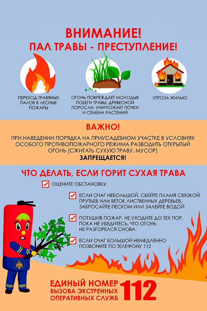 Лес — наше богатство! Не допустим пожара!