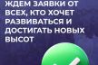 WhatsApp_Image_2024-08-02_at_13.37.35_1